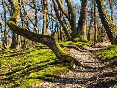 ddos攻击ip软件下载