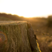 2025最新版本的网页端ddos