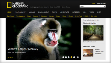 网站攻击工具手机版