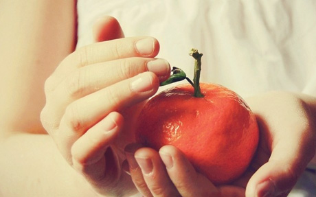 自动攻击网站工具下载